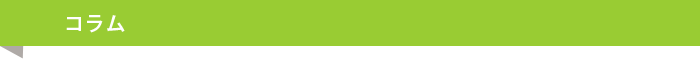 コラム